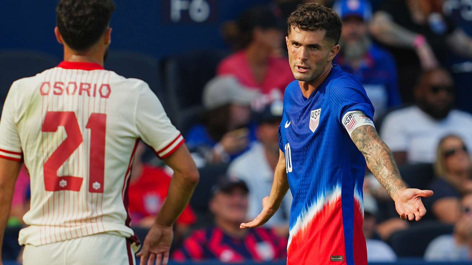 展现自己的 展现自己的