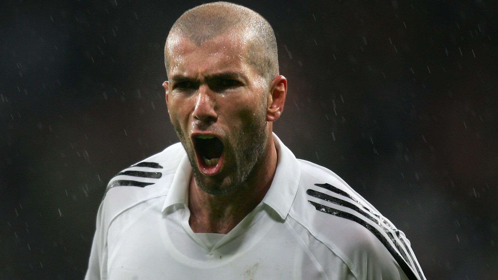 迈尼昂的诉 迈尼昂的诉